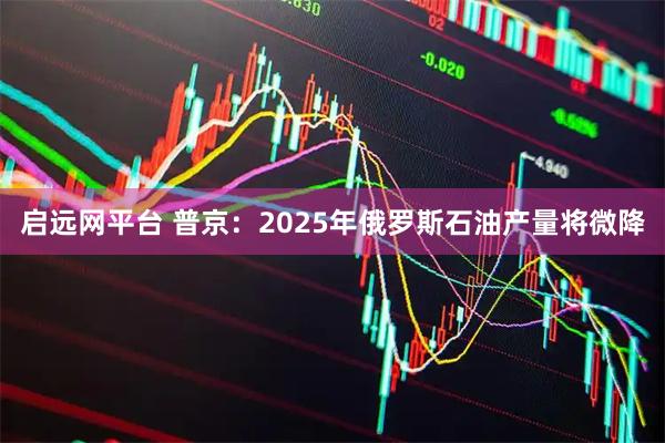 启远网平台 普京：2025年俄罗斯石油产量将微降