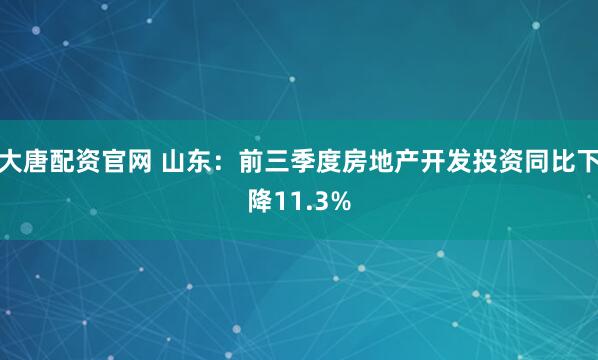 大唐配资官网 山东：前三季度房地产开发投资同比下降11.3%