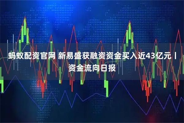 蚂蚁配资官网 新易盛获融资资金买入近43亿元丨资金流向日报