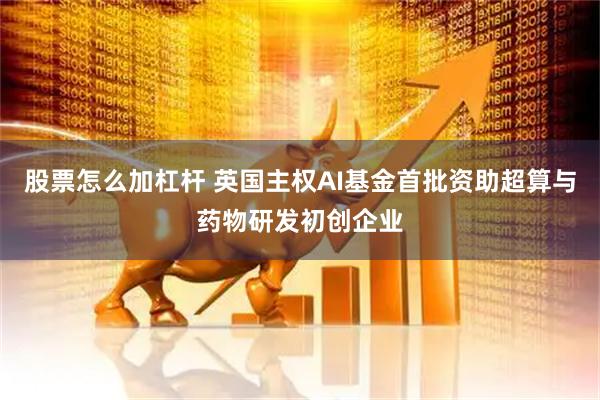 股票怎么加杠杆 英国主权AI基金首批资助超算与药物研发初创企业